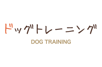 dog_training_main